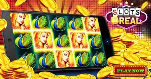 xx14 Live Casino